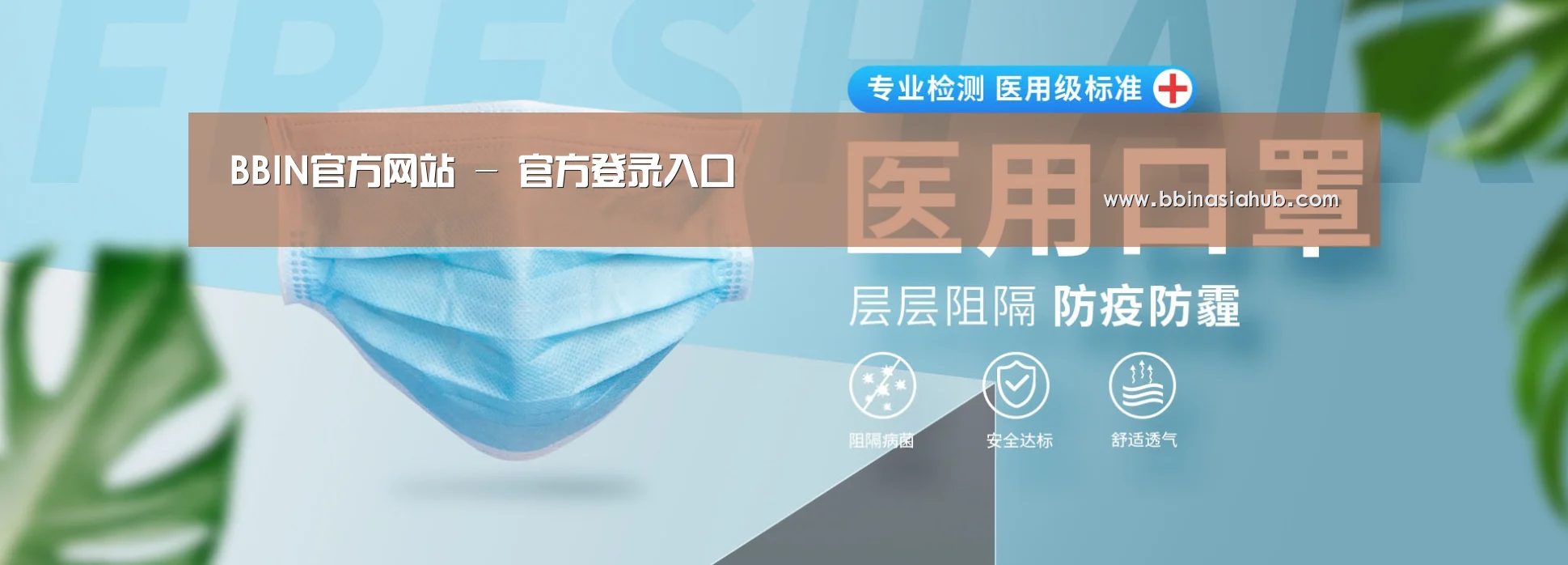 某某口罩防护用品有限公司