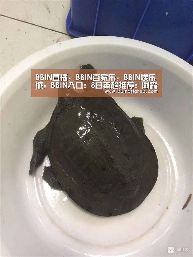 BBIN直播,BBIN百家乐,BBIN娱乐城,BBIN入口:8日英超推荐:阿森纳 vs 哈德斯菲尔德(图3) BBIN直播,BBIN百家乐,BBIN娱乐城,BBIN入口