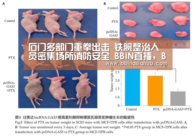 BBIN直播，BBIN百家乐，BBIN娱乐城，BBIN入口