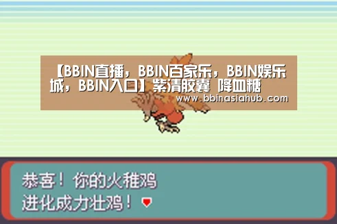BBIN直播，BBIN百家乐，BBIN娱乐城，BBIN入口
