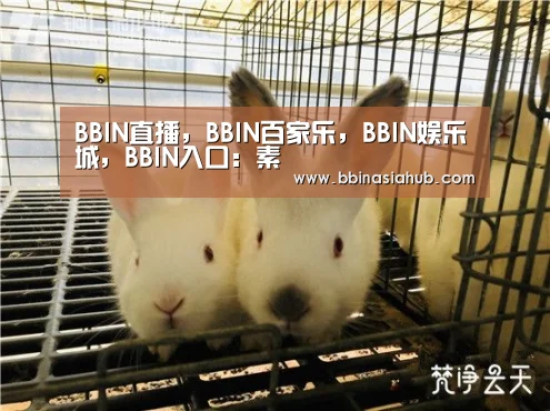 BBIN直播,BBIN百家乐,BBIN娱乐城,BBIN入口:素(图4) BBIN直播,BBIN百家乐,BBIN娱乐城,BBIN入口