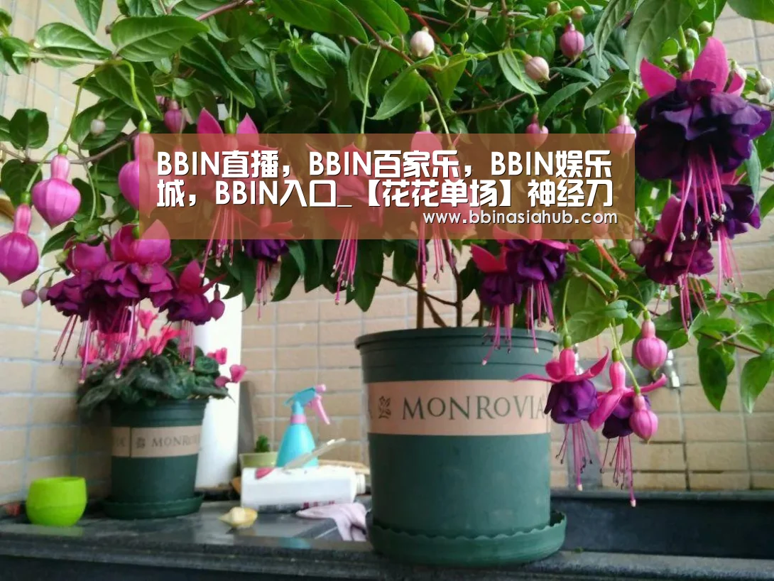 BBIN直播，BBIN百家乐，BBIN娱乐城，BBIN入口