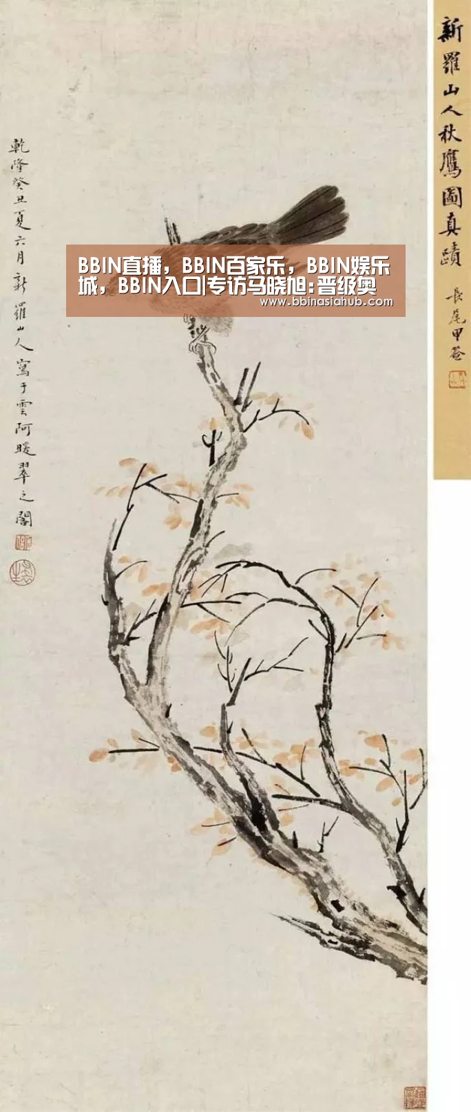 BBIN直播,BBIN百家乐,BBIN娱乐城,BBIN入口|专访马晓旭:晋级奥运难度大 权健让球队步入正轨(图1) BBIN直播,BBIN百家乐,BBIN娱乐城,BBIN入口