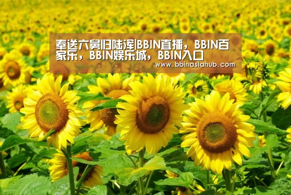 BBIN直播，BBIN百家乐，BBIN娱乐城，BBIN入口