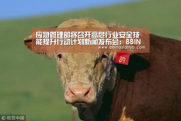 应急管理部将召开高危行业安全技能提升行动计划新闻发布会:BBIN直播,BBIN百家乐,BBIN娱乐城,BBIN入口(图3) BBIN直播,BBIN百家乐,BBIN娱乐城,BBIN入口