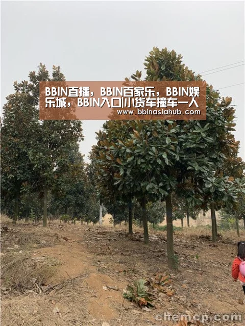 BBIN直播,BBIN百家乐,BBIN娱乐城,BBIN入口|小货车撞车一人被困 杭州桐庐消防破拆救援(图1) BBIN直播,BBIN百家乐,BBIN娱乐城,BBIN入口