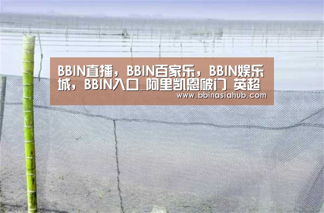 BBIN直播，BBIN百家乐，BBIN娱乐城，BBIN入口