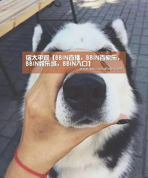 宿太平观【BBIN直播,BBIN百家乐,BBIN娱乐城,BBIN入口】(图1) BBIN直播,BBIN百家乐,BBIN娱乐城,BBIN入口
